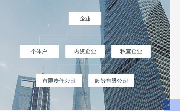 河南个体户名称自主申报企业类型怎么填(河南名称自主申报限制)